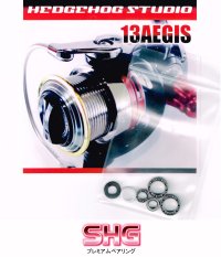 13 AEGIS 1003RH,2004,2506,2506H Full Bearing Kit 【SHG】