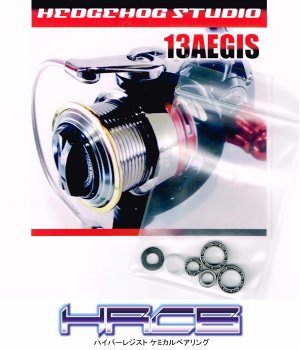 Photo1: 13 AEGIS 1003RH,2004,2506,2506H Full Bearing Kit 【HRCB】
