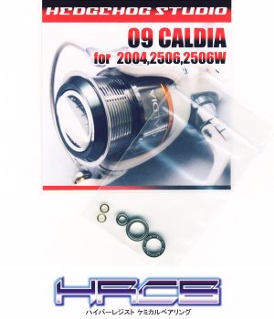 Photo1: 09 CALDIA 2004,2506,2506W Full Bearing Kit 【HRCB】