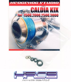 Photo1: CALDIA KIX 1500,2000,2500,3000 Full Bearing Kit 【HRCB】