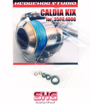 Photo1: CALDIA KIX 3500,4000 Full Bearing Kit 【SHG】