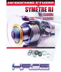 SYMETRE RJ 1500RJ,2500RJ,4000RJ Line Roller 2 Bearing Kit Ver.1 【HRCB】