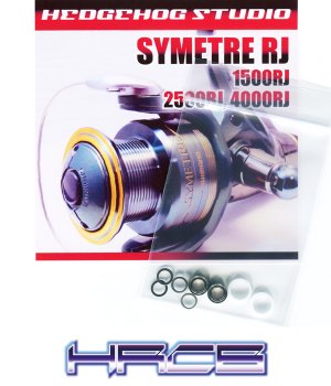 Photo1: SYMETRE RJ 1500RJ,2500RJ,4000RJ Line Roller 2 Bearing Kit Ver.1 【HRCB】