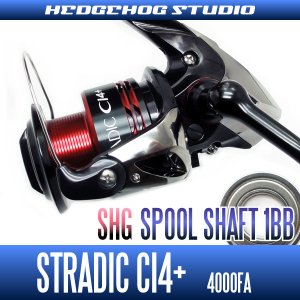 Photo1: STRADIC CI4+ 4000FA Spool Shaft 1 Bearing Kit - L size [SHG]