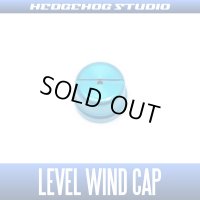 【SHIMANO】 Level Wind Cap 【MT13】 SKY BLUE