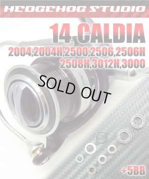 Photo1: 14 CALDIA 2004,2506,2506H,2500,2508,3000 Full Bearing Kit 【HRCB】
