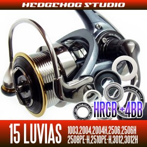 Photo1: 15 LUVIAS 1003,2004,2004H,2506,2506H,3012,3012H Full Bearing Kit 【HRCB】