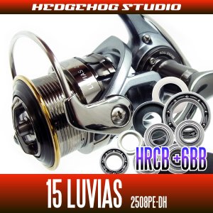 Photo1: 15 LUVIAS 2508PE-DH Full Bearing Kit 【HRCB】