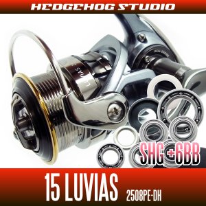 Photo1: 15 LUVIAS 2508PE-DH Full Bearing Kit 【SHG】