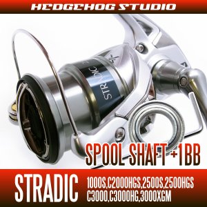 Photo1: 15 STRADIC 1000S,C2000HGS,2500S,2500HGS,C3000,C3000HG,3000XGM Spool Shaft 1 Bearing Kit (M size) [SHG]