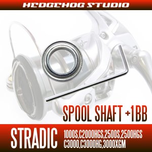 Photo2: 15 STRADIC 1000S,C2000HGS,2500S,2500HGS,C3000,C3000HG,3000XGM Spool Shaft 1 Bearing Kit (M size) [SHG]