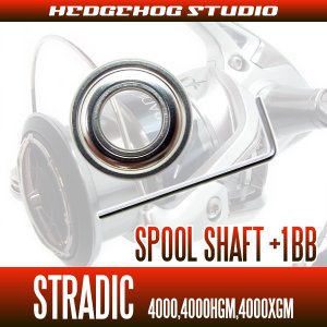 Photo2: 15 STRADIC 4000,4000HGM,4000XGM Spool Shaft 1 Bearing Kit (L size) [SHG]