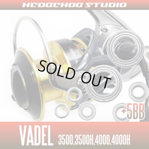 Photo1: Daiwa '15 VADEL 3500,3500H,4000,4000H Bearing Kit 【HRCB】