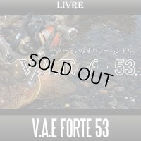 [LIVRE] V.A.E Forte 53 Single Handle
