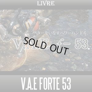 Photo1: [LIVRE] V.A.E Forte 53 Single Handle