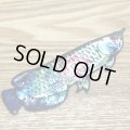 【B-SIDE LABEL STICKER】 Arowana - RED (BSL006)