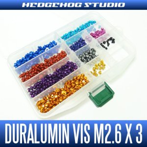 Photo1: Duralumin Screw for handle retainer (M2.6×3mm) - 1 piece *discontinued