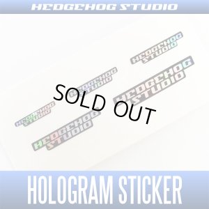 Photo1: [HEDGEHOG STUDIO] Hologram stickers