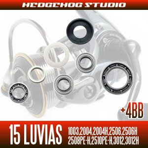 Photo2: 15 LUVIAS 1003,2004,2004H,2506,2506H,2508PE-H,2510PE-H,3012,3012H用 MAX12BB Full Bearing Kit
