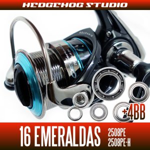 Photo1: 16 EMERALDAS 2508PE,2508PE-H用 MAX10BBB Full Bearing Kit