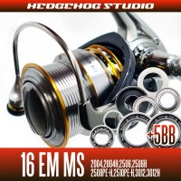 16 EM MS 2004,2004H,2506,2506H,2508PE-H,2510PE-H,3012,3012H用 MAX11BB Full Bearing Kit