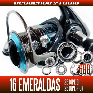 Photo1: 16 EMERALDAS 2508PE-DH,2508PE-H-DH用 MAX12BB Full Bearing Kit