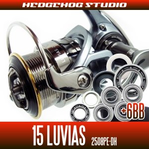 Photo1: 15 LUVIAS 2508PE-DH用 MAX14BB Full Bearing Kit