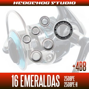 Photo2: 16 EMERALDAS 2508PE,2508PE-H用 MAX10BBB Full Bearing Kit