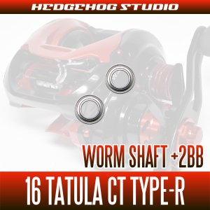 Photo2: [DAIWA] Worm Shaft Bearing kit for 16 TATULA CT TYPE-R (+2BB)