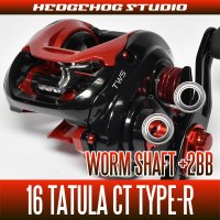 [DAIWA] Worm Shaft Bearing kit for 16 TATULA CT TYPE-R (+2BB)