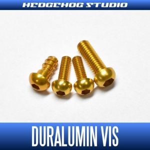 Photo1: 【Abu】 Duralumin Screw Set 5-6-6-8 【REV16】 GOLD