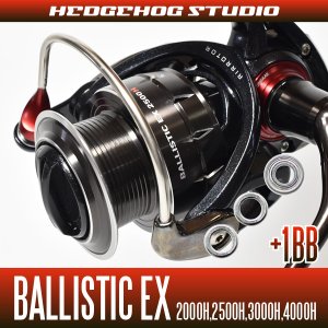 Photo1: BALLISTIC EX  2000H,2500H,3000H,4000H Full Bearing Kit