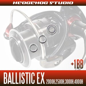 Photo2: BALLISTIC EX  2000H,2500H,3000H,4000H Full Bearing Kit
