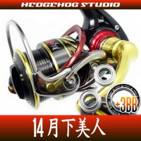 14月下美人 2004,2004H,2504H Full Bearing Kit