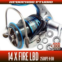 14X FIRE LBD 2508PE-H-DH Full Bearing Kit