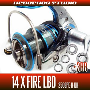 Photo1: 14X FIRE LBD 2508PE-H-DH Full Bearing Kit