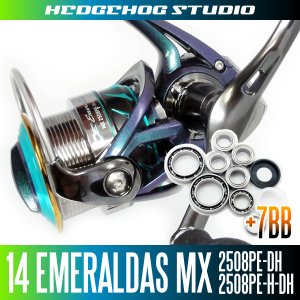 Photo1: 14EMERALDAS MX 2508PE-DH,2508PE-H-DH Full Bearing Kit