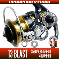 13BLAST  3520PE,3515PE-SH,4020PE-SH Full Bearing Kit