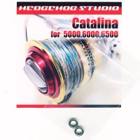 OLD Catalina for 5000,6000,6500 Full Bearing Kit