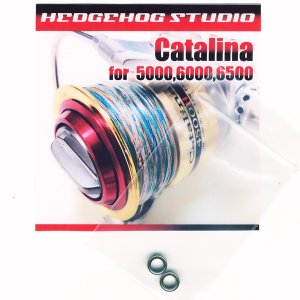 Photo1: OLD Catalina for 5000,6000,6500 Full Bearing Kit
