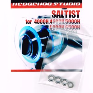 Photo1: SALTIST for 4000H,4500H,5000H,6000H,6500H Full Bearing Kit HRCB