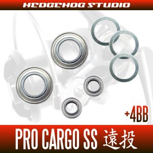 Photo2: PRO CARGO SS遠投4500,5000 Full Bearing Kit