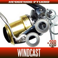 WIND CAST 4000QD,4000,4500,5000,5500,6000  Full Bearing Kit