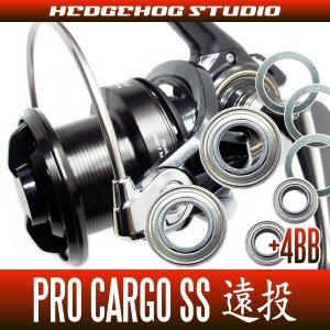 Photo1: PRO CARGO SS遠投4500,5000 Full Bearing Kit