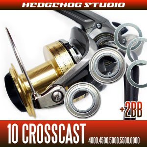 Photo1: 10 CROSS CAST   Full Bearing Kit