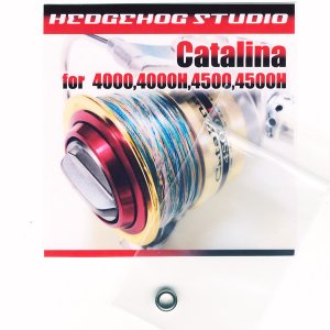 Photo1: OLD Catalina for 4000,4000H,4500,4500H Full Bearing Kit