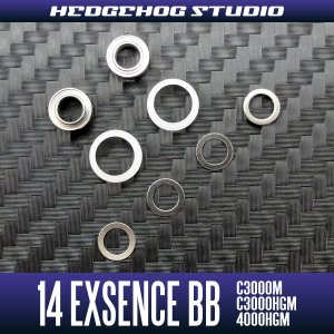 Photo2: 14 EXSENCE BB C3000M,C3000HGM,4000HGM Line Roller 2 Bearing Kit Ver.2