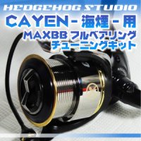 CAYEN 海煙 256 MAX12BB Full Bearing Kit