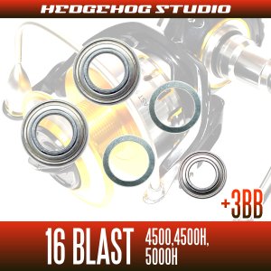 Photo2: 16 BLAST  for 4500,4500H.5000H Full Bearing Kit