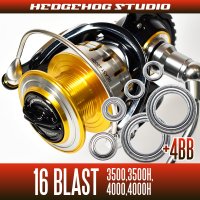 16 BLAST  for 3500,3500H,4000,4000H Full Bearing Kit